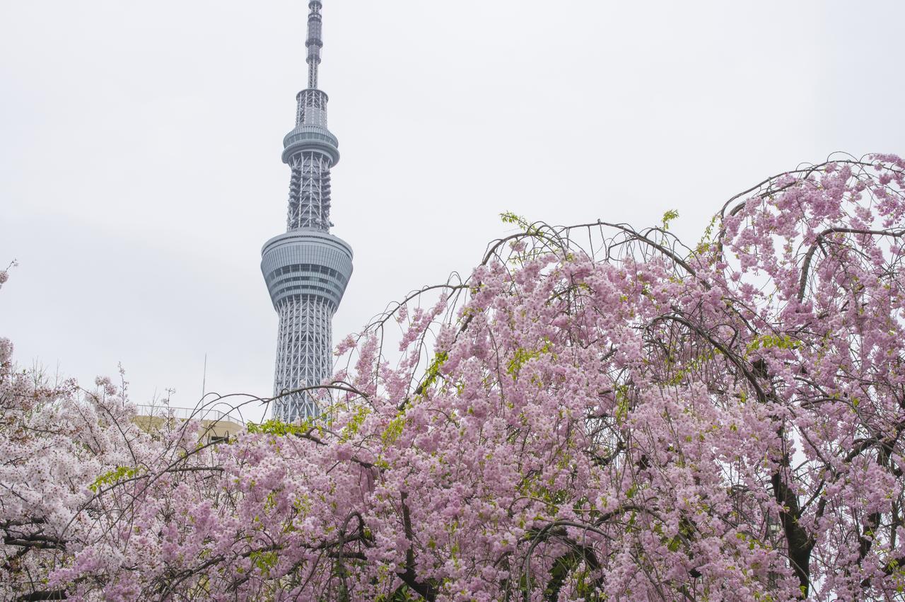 ホテル3000浅草本店 東京都 エクステリア 写真